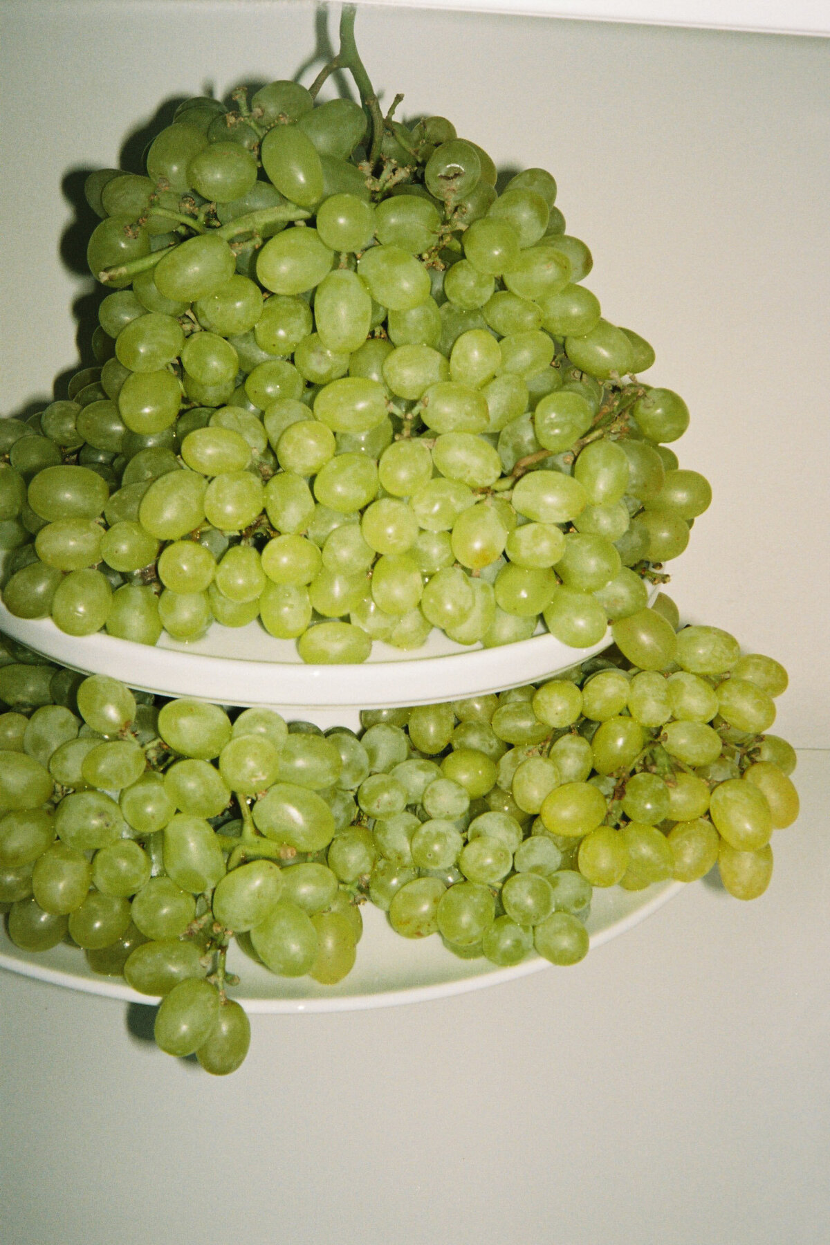 Artistic food detail by Vienna Photographer during destination wedding celebration in Tuscany