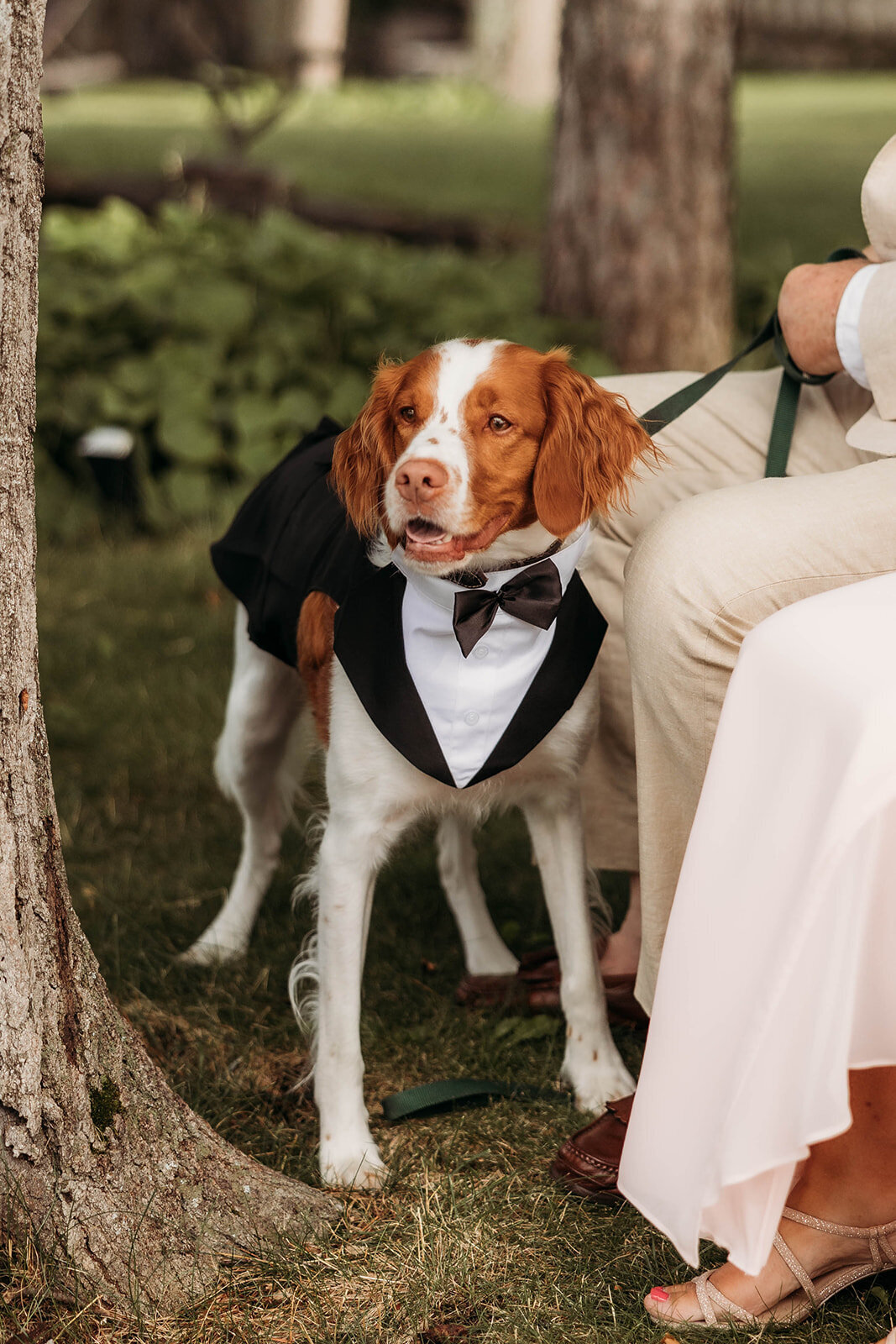 Red Pine Point Indian River Michigan Intimate Wedding Ceremony K. E. Rogers Photography-42