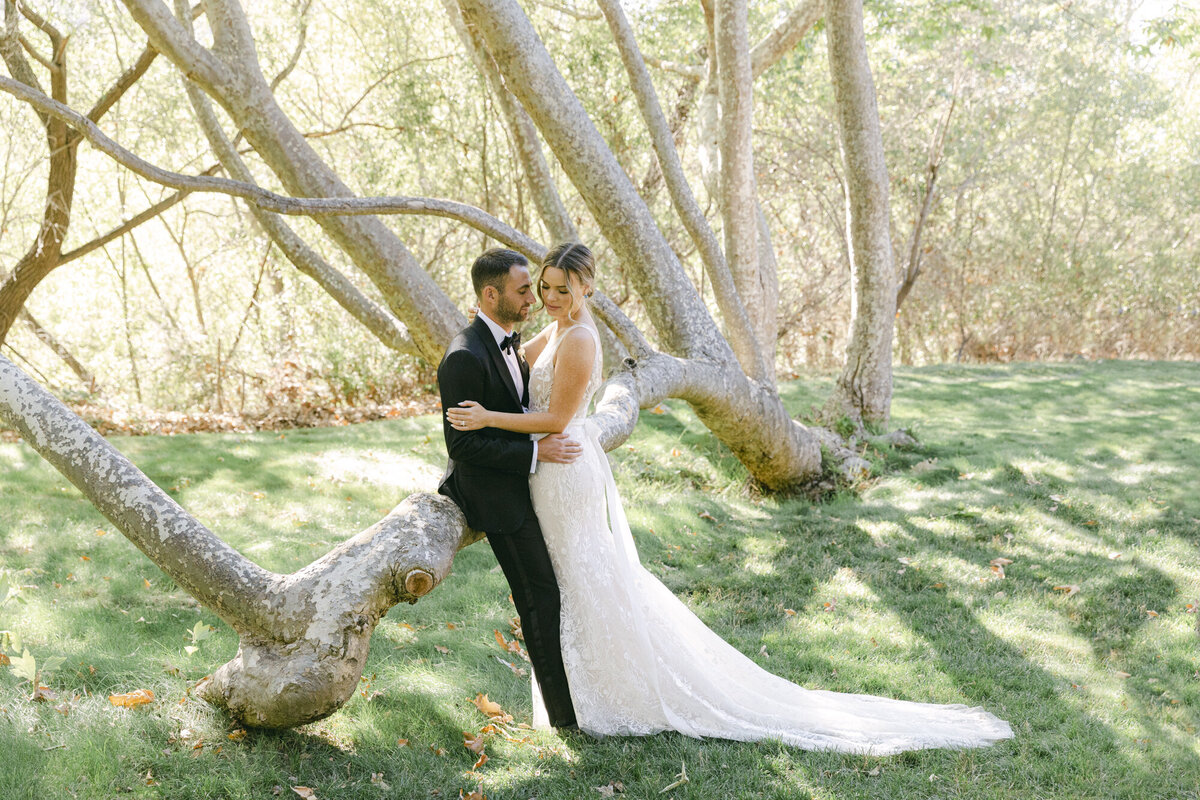 Carmel Valley bride and groom standing infront of a tree