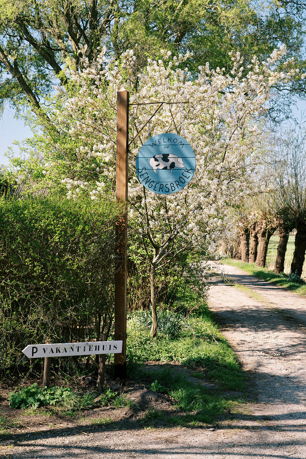 FotostudioFlora_Sengersbroek-27