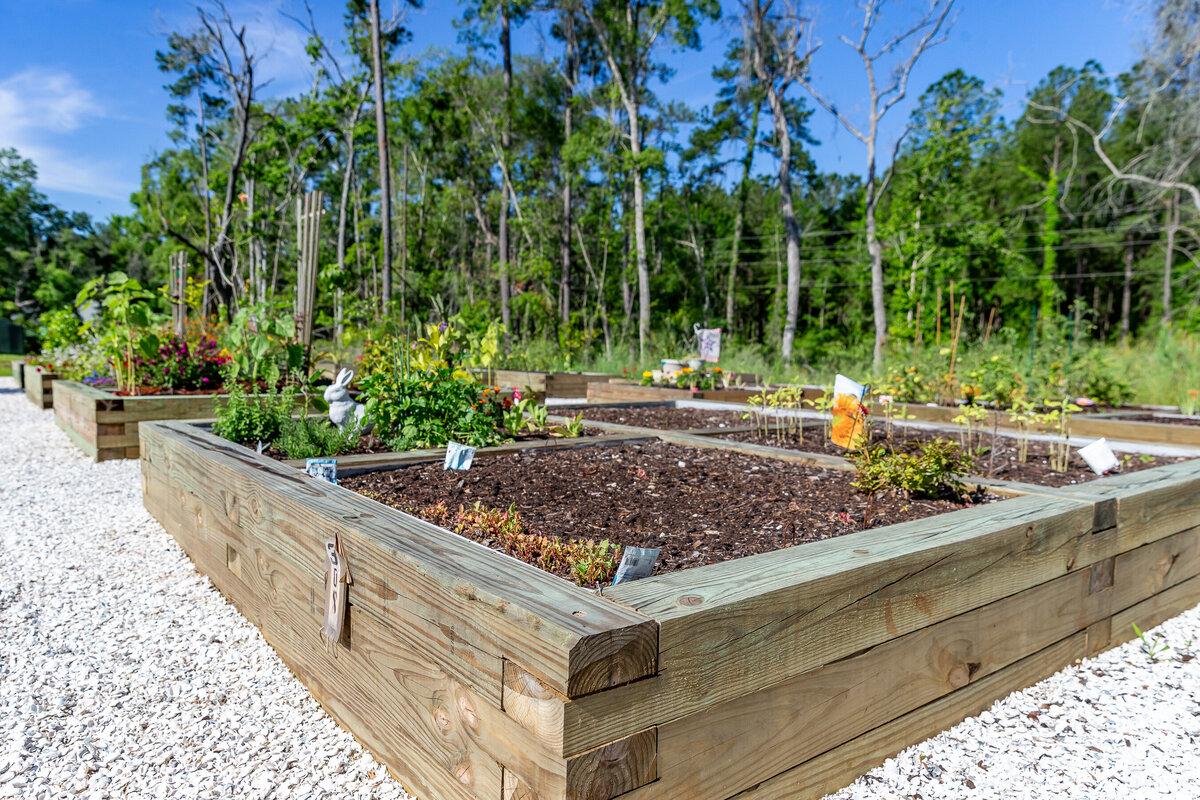 042324ROCHESTERPARK-19