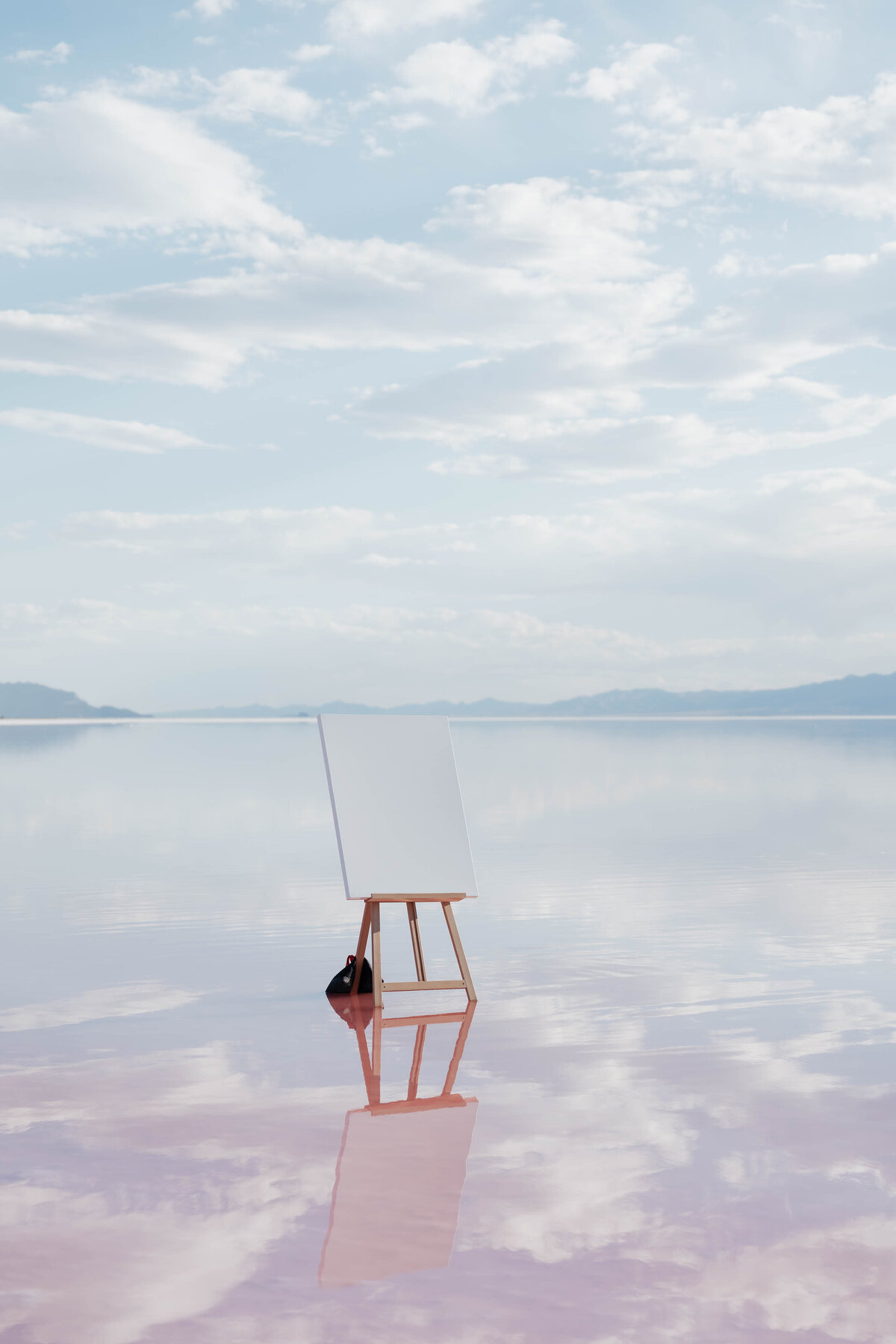 Pink-lake-utah-wedding-photoshoot-amari-marie-00678