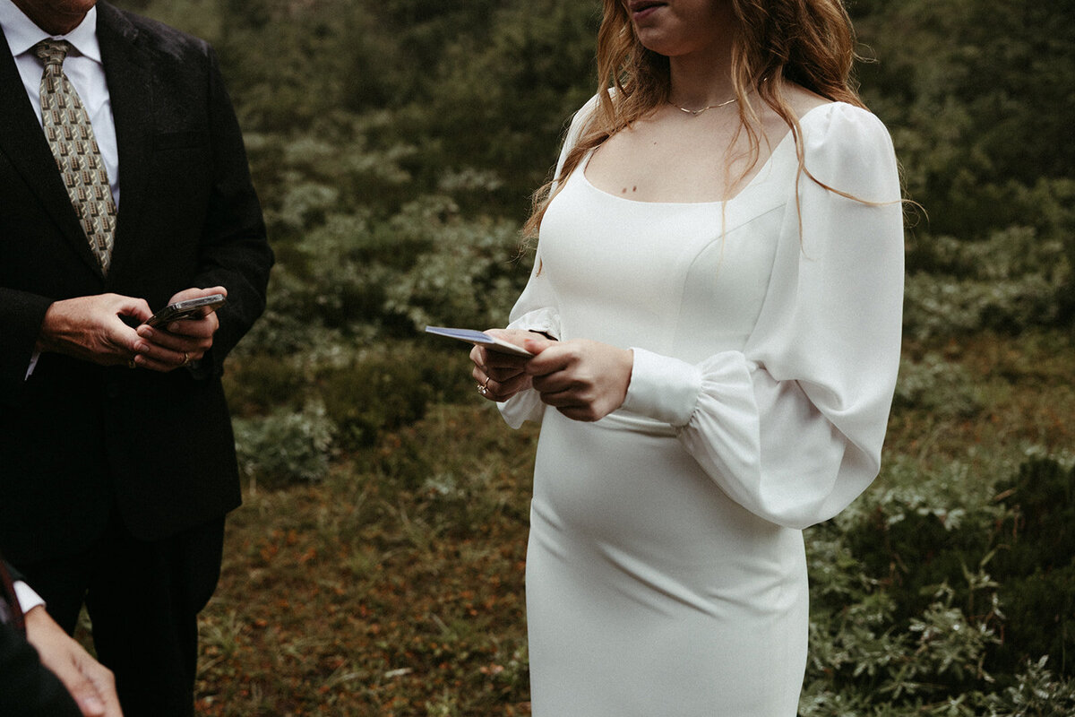 MtRainierSmallWedding-DallinHazard-110