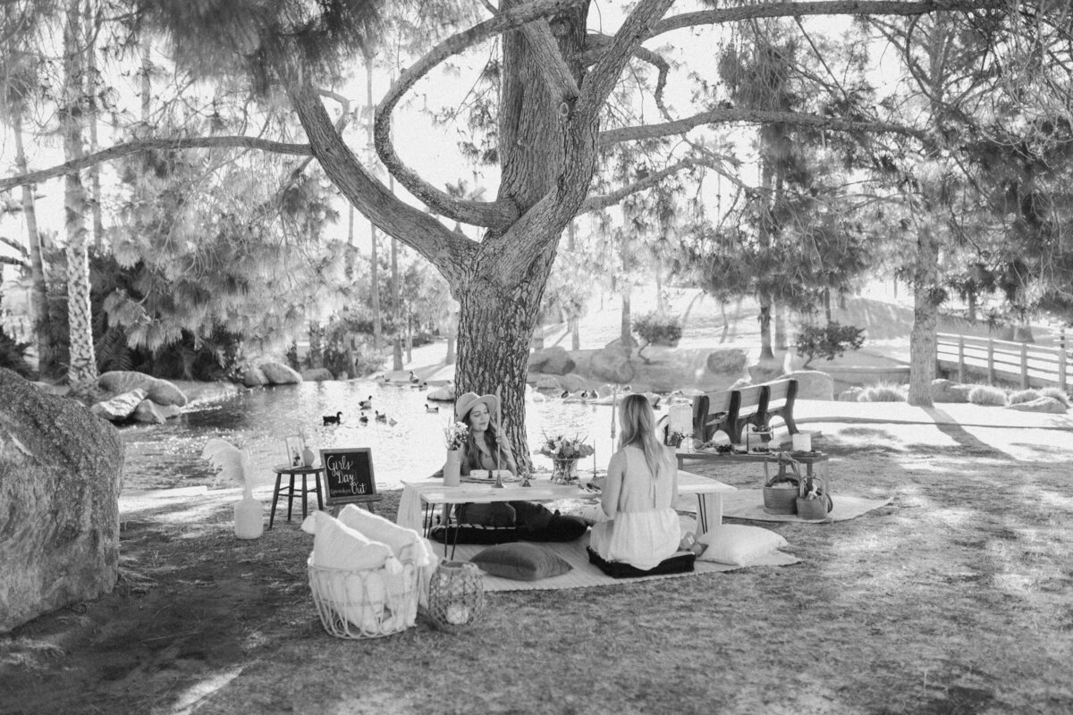 picnics by rae-7187