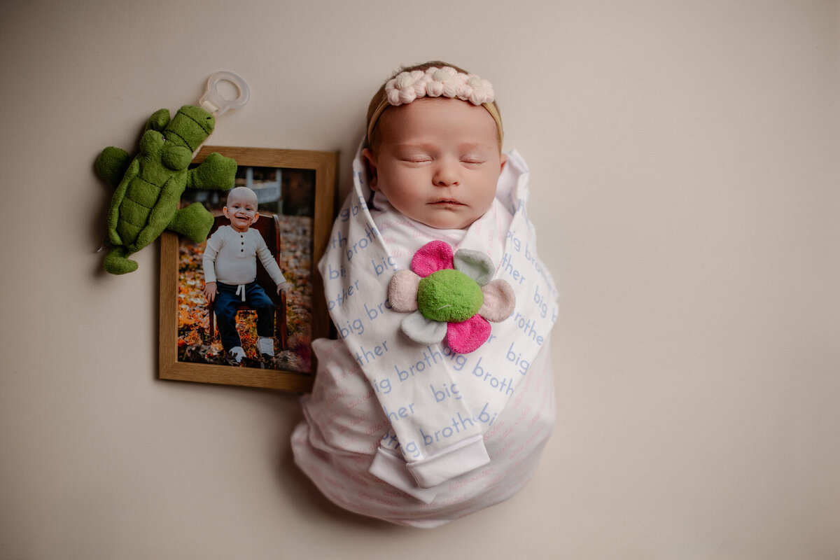 NWA newborn photographer, newborn portraits NW Arkansas