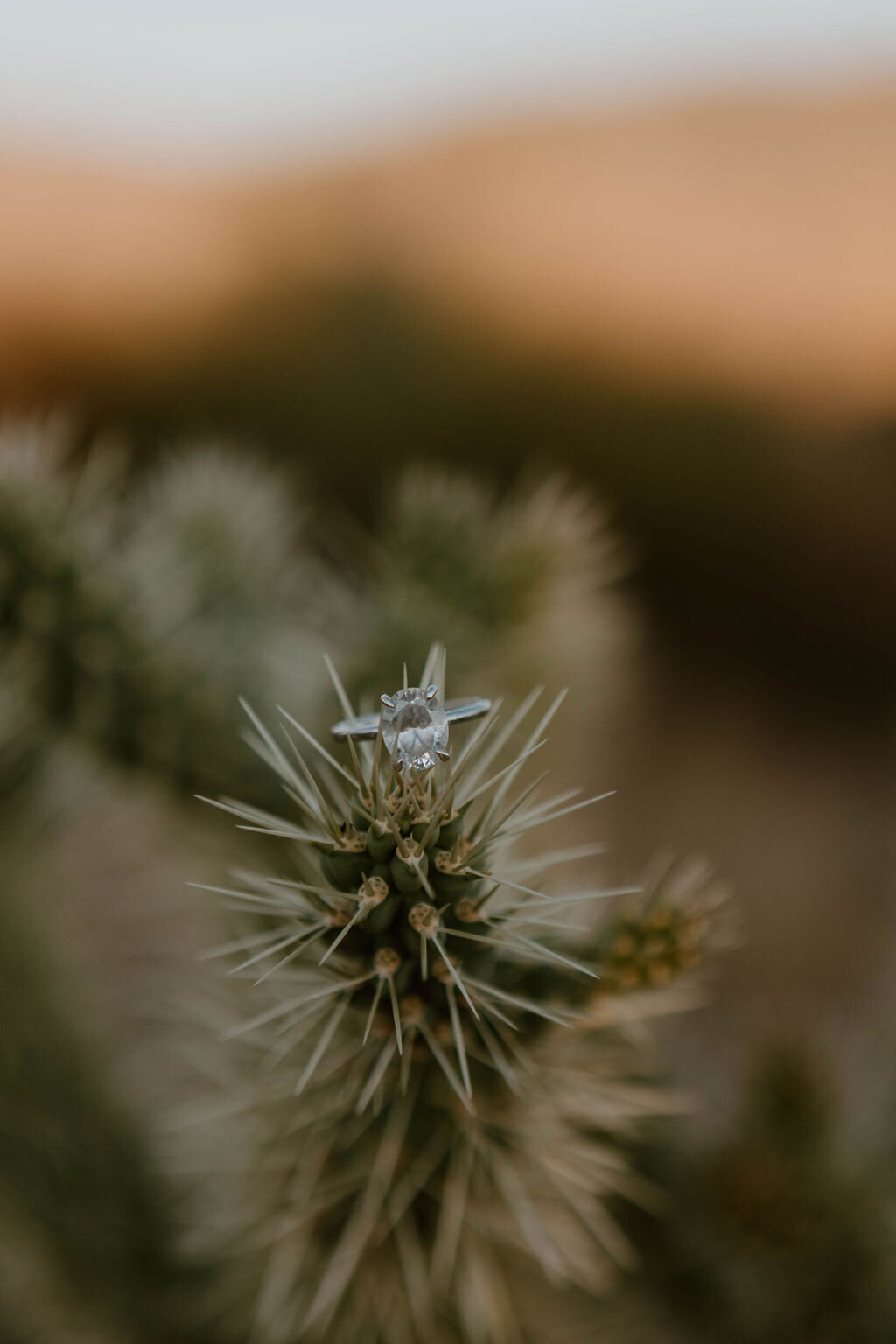 Tucsonweddingphotographer-13