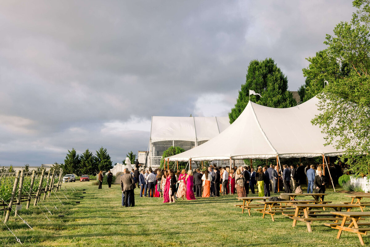 Bedell_Cellars_Wedding_049