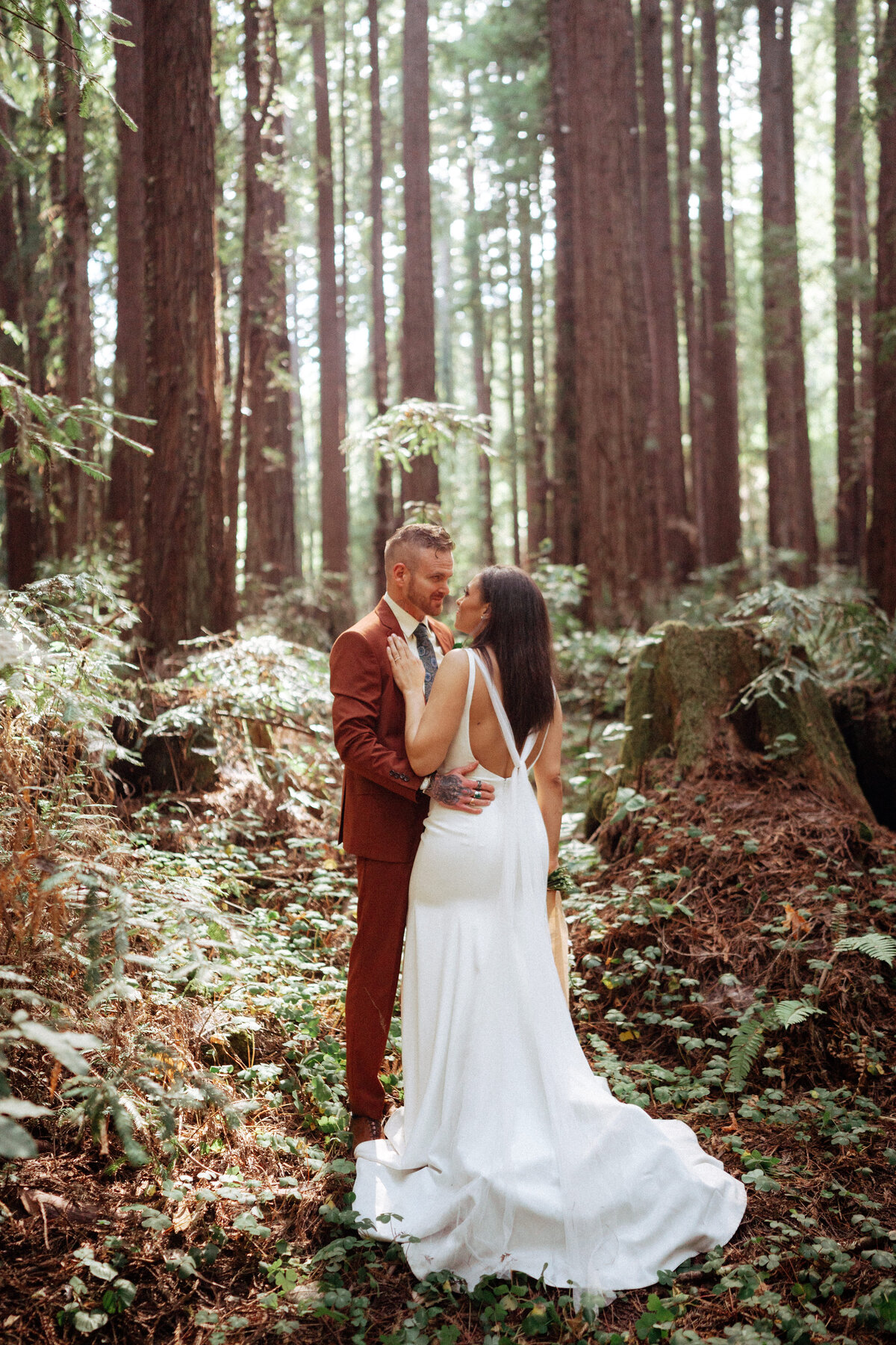 redwoods.santacruzDSC00557