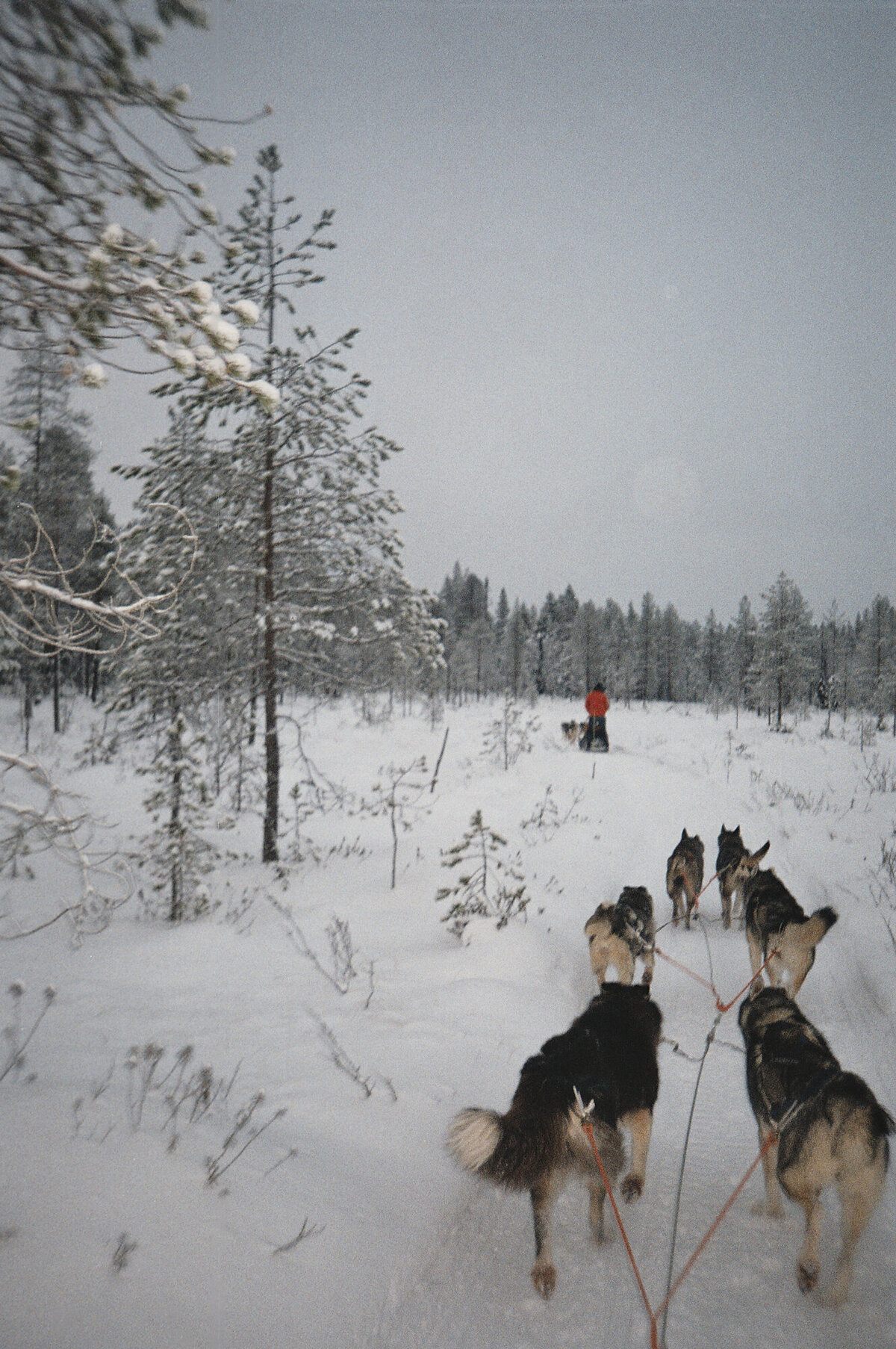 Lapland_Fotoreeks_19