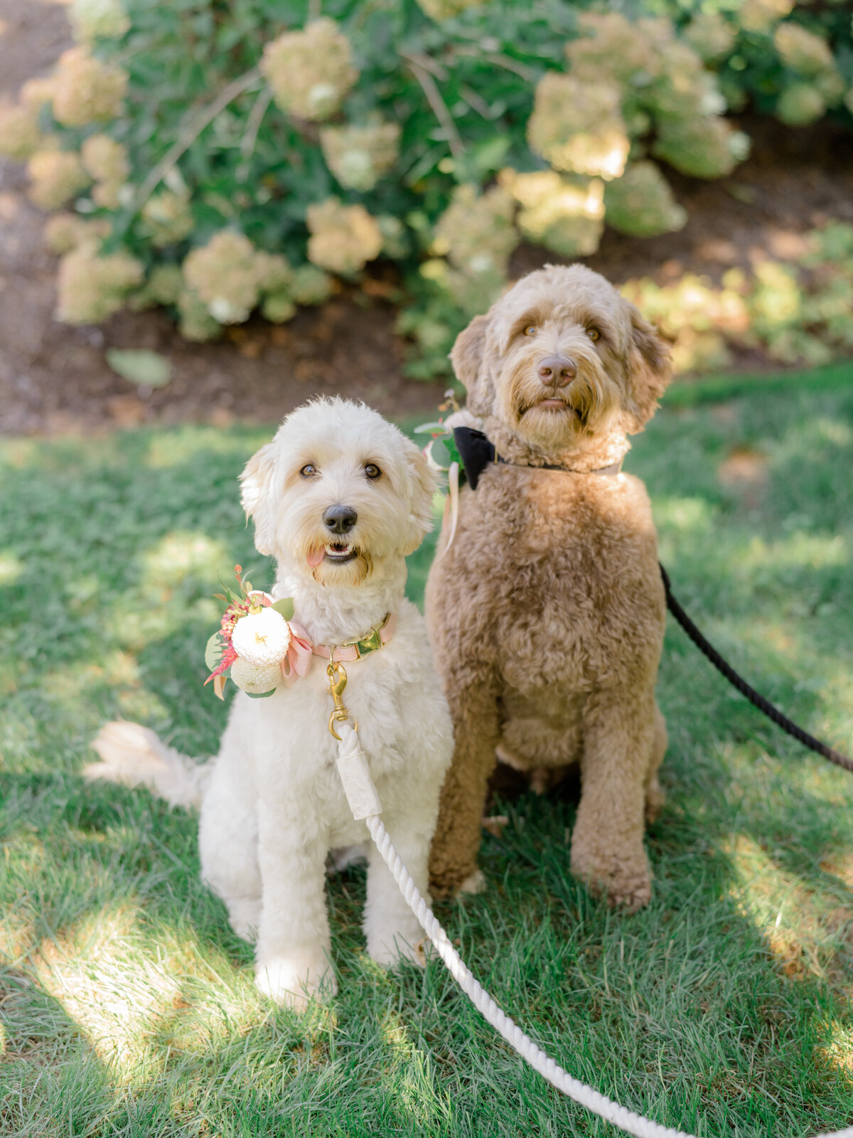 MagdalenaStudios_GailJustin-357