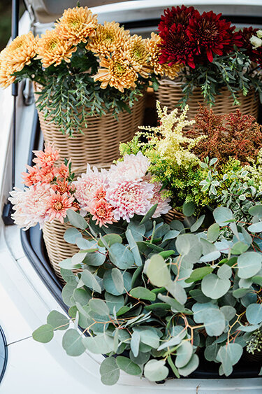 Horn Photography & Design Buds - 0042_