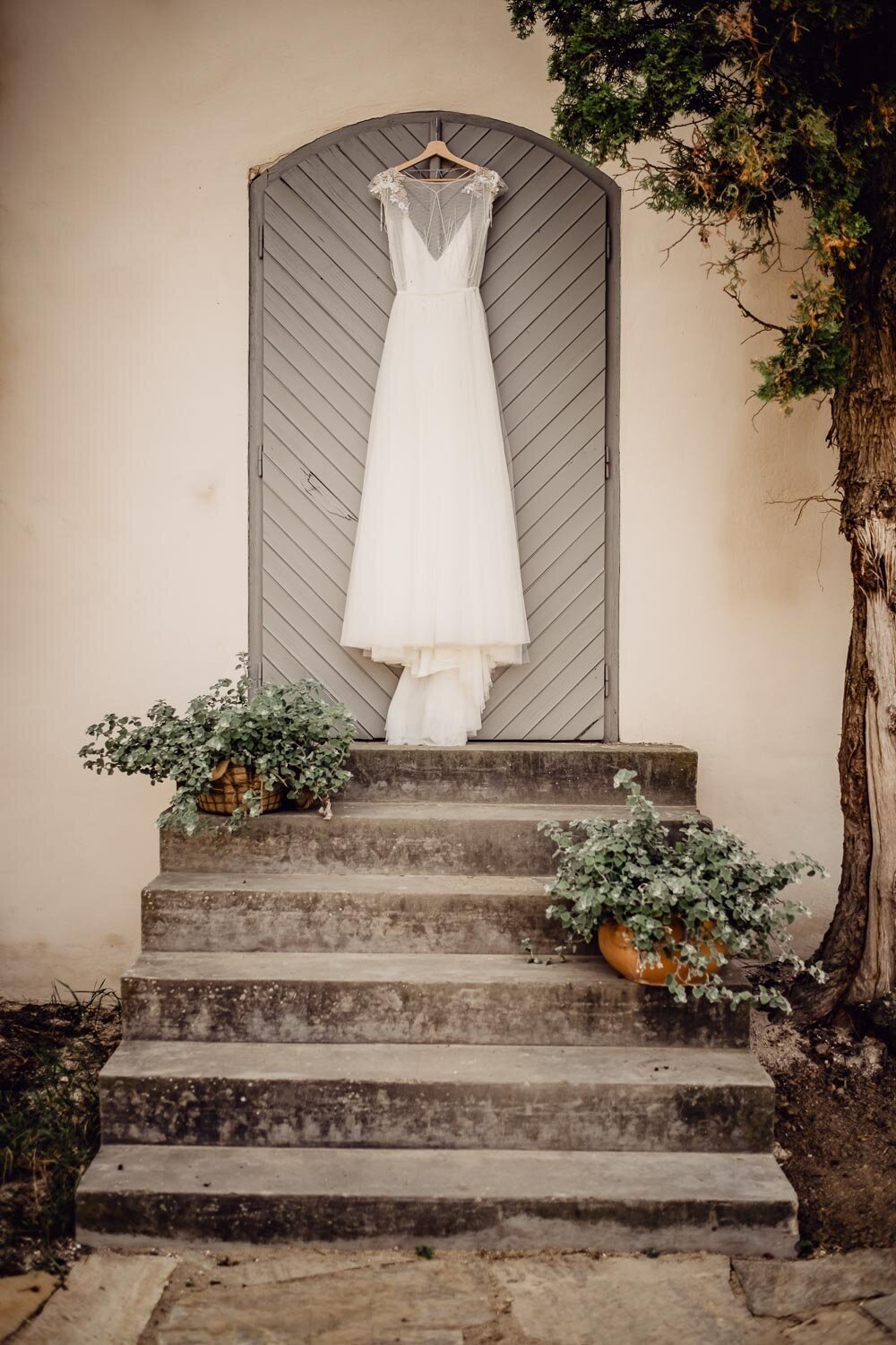 lucies-showit-sablona-pro web-17