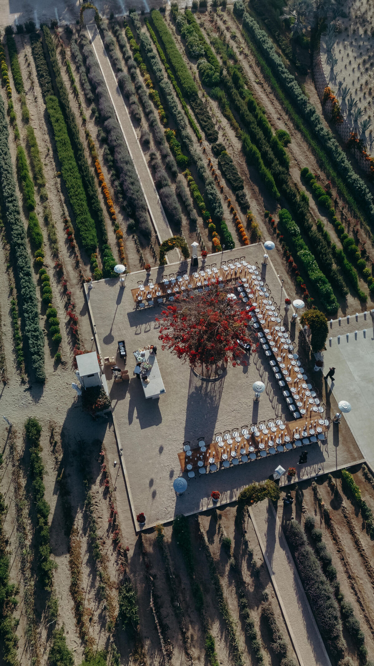 Todos-Santos-Wedding-18