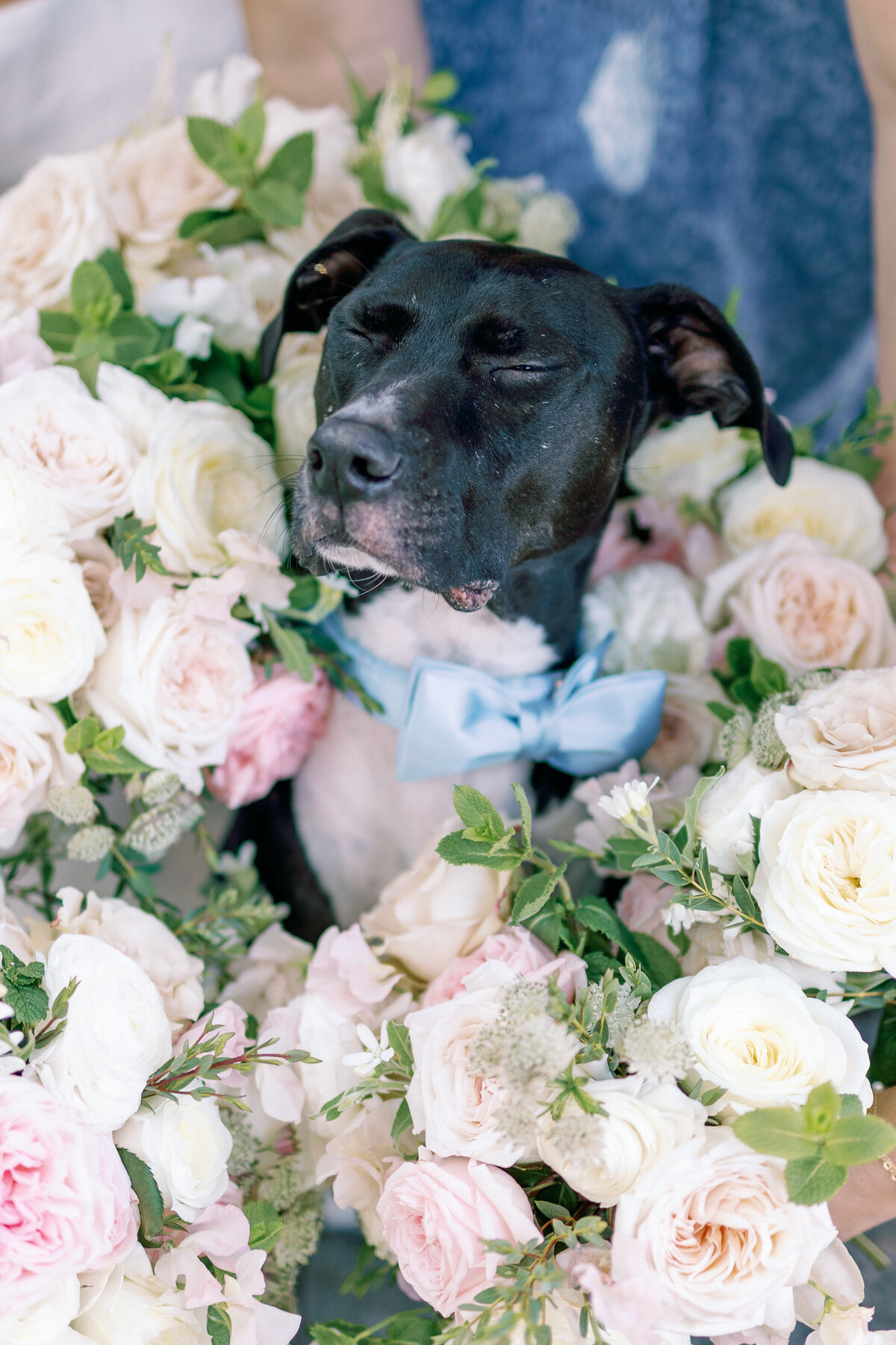 river-street-wedding-savannah1