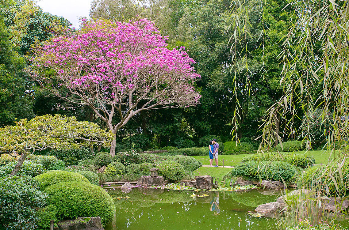 brisbane-engagement-photographer (5)