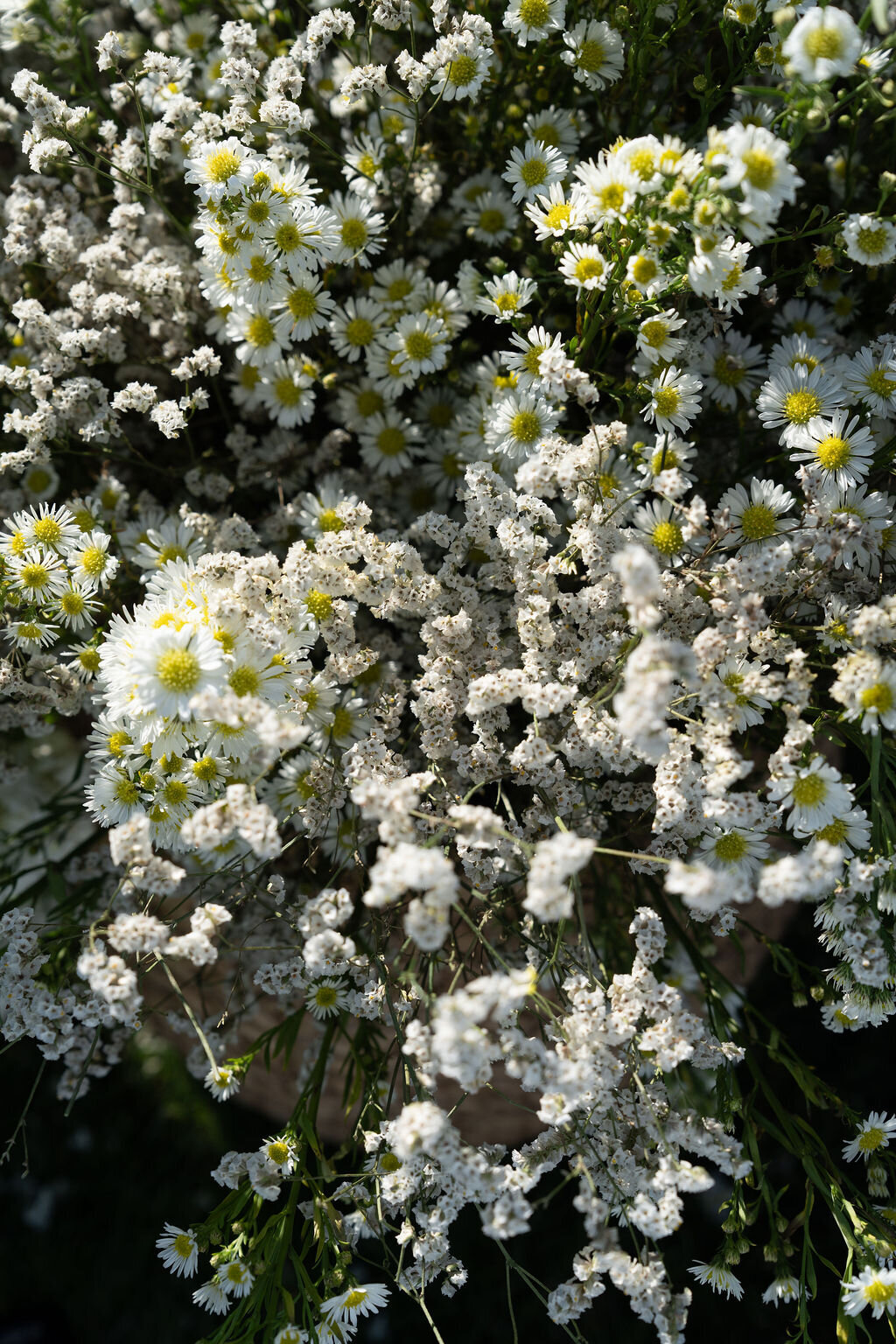 NikkiSanterre_EastCoastLuxuryWeddingPhotographer_CliftonInnWedding_Sky&Ryan-528