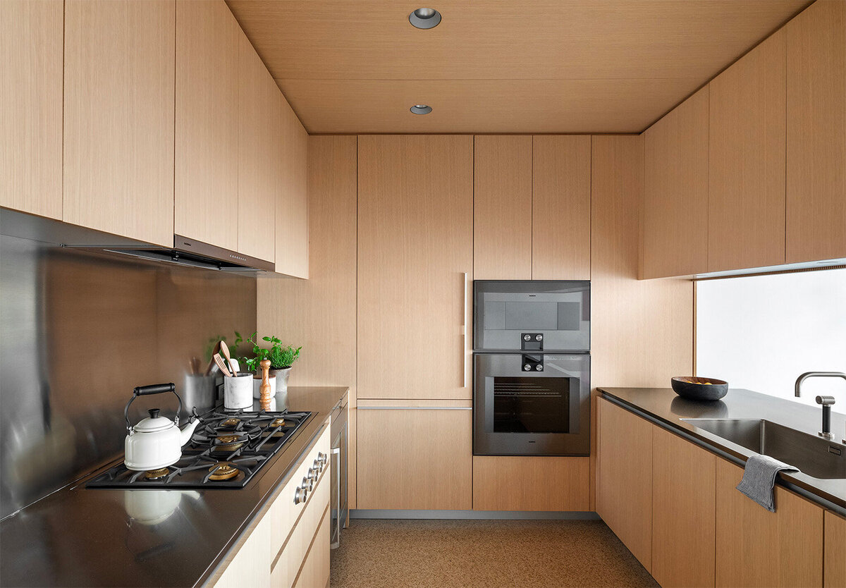 contemporary-kitchen-plywood-cabinets-papillon-builders-group