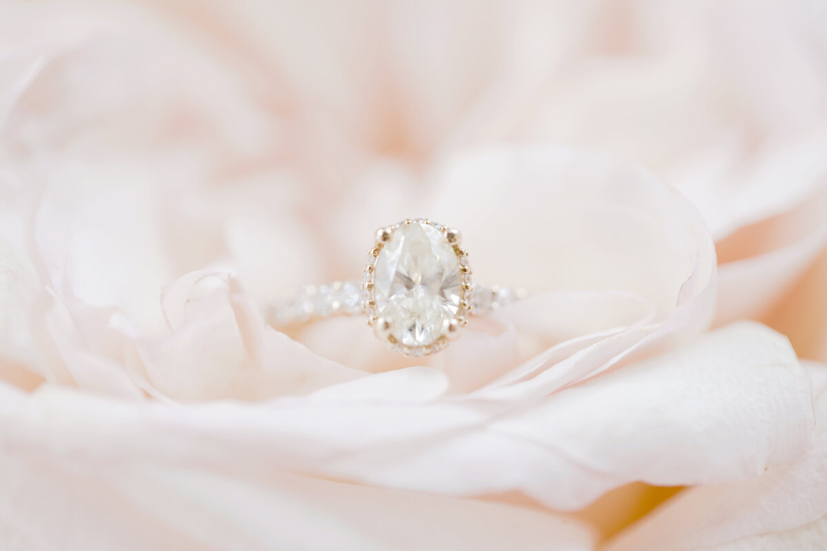 engagement ring-peach flower-robin rogers photography-wedding details