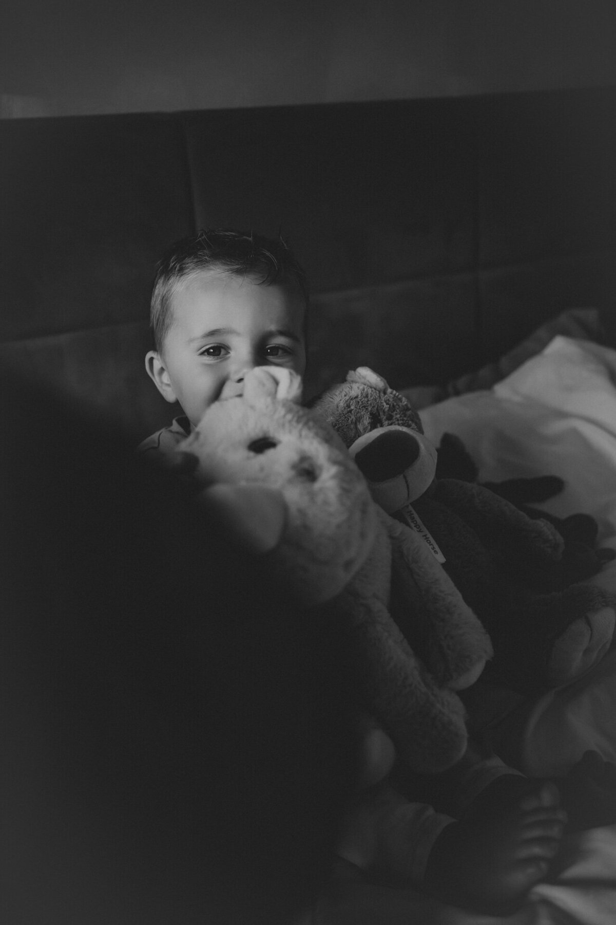 newbornshoot in leiden
