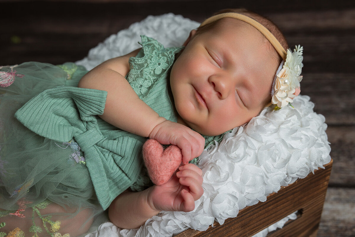 CloverNewborn-41
