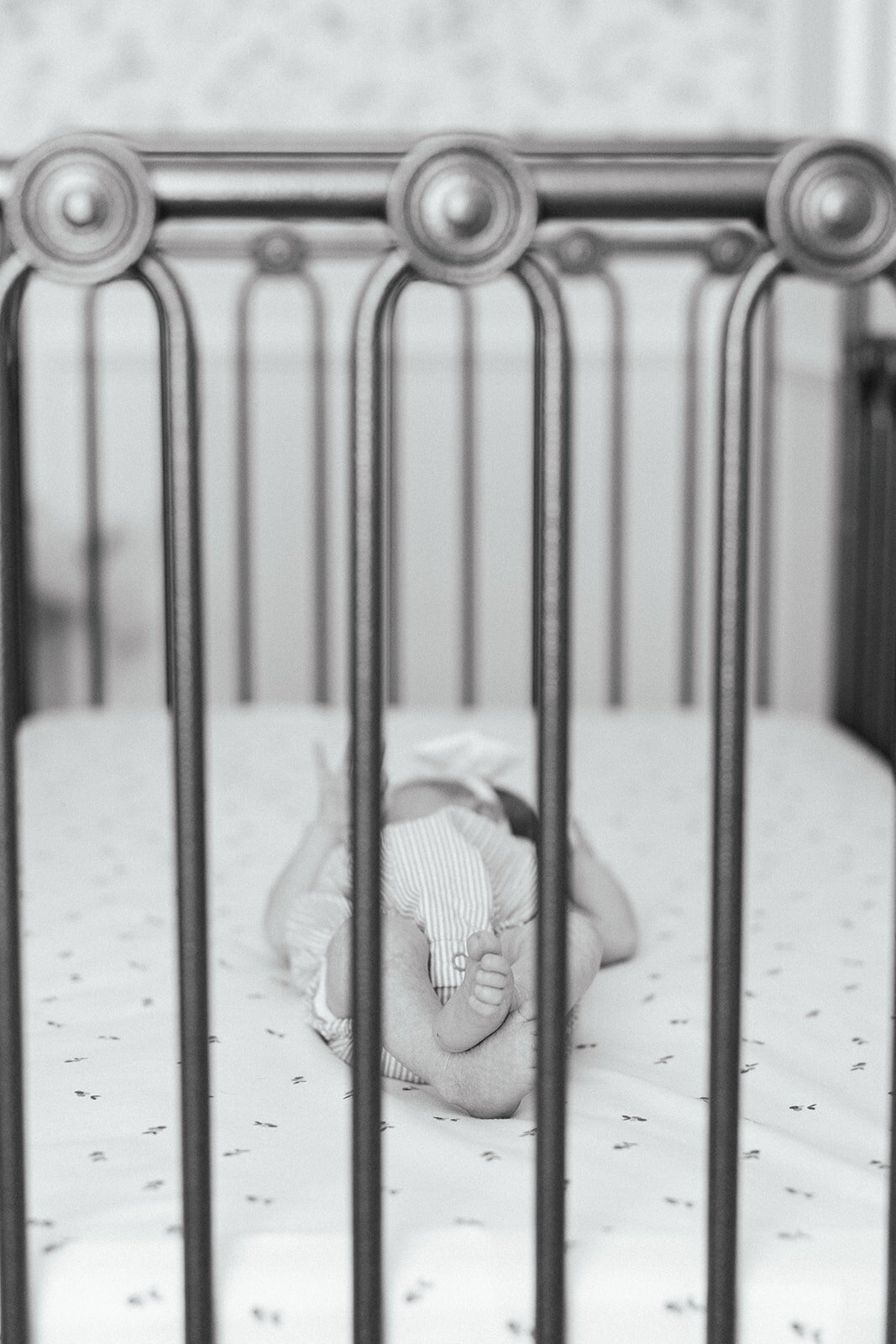 In Home Newborn 2024_Alexis Fox Photography + Westfield + Indiana + In Home + Newborn (14 of 88)