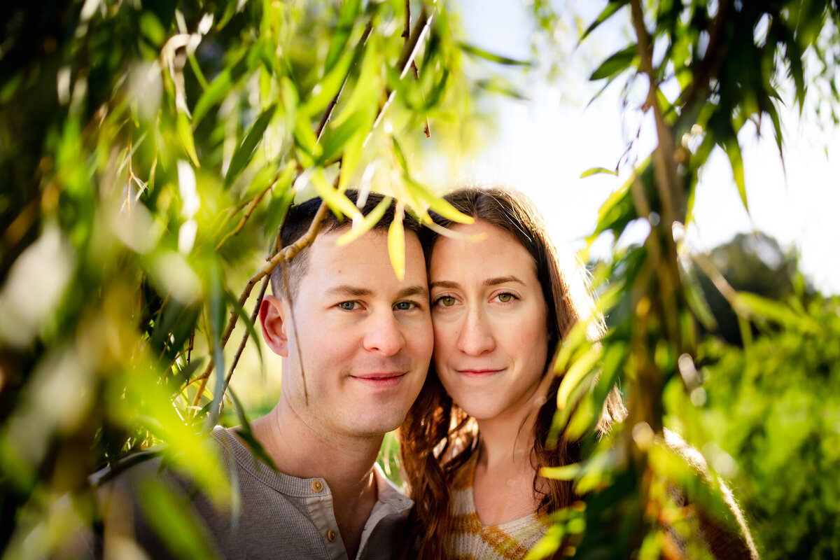 Close up of a couples face behind a Whillow tree