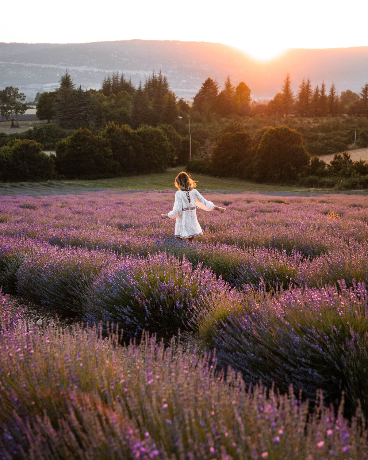 Lavender-Fields-Provence-South-of-France-Find-Us-Lost-0867