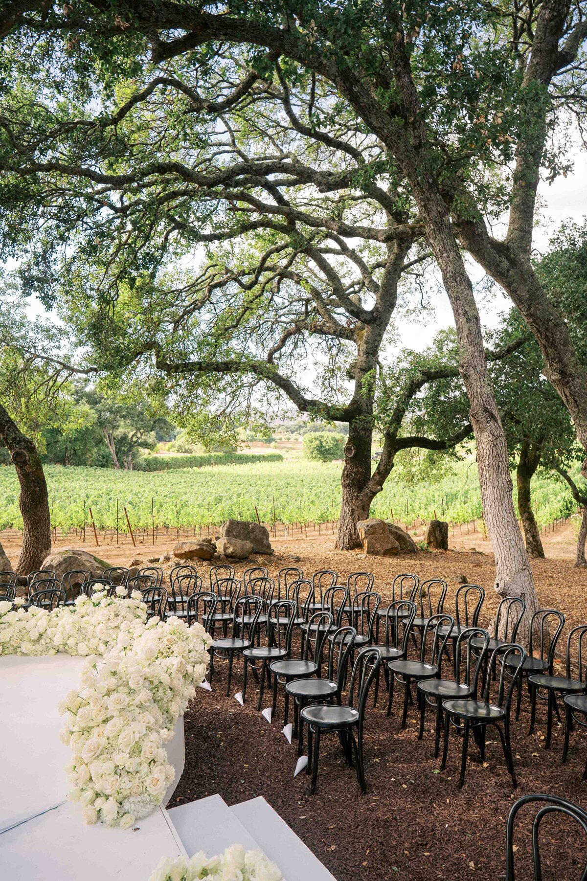 WILLOW-BEN-WEDDING-NAPA-PHOTOGRAPHER-23