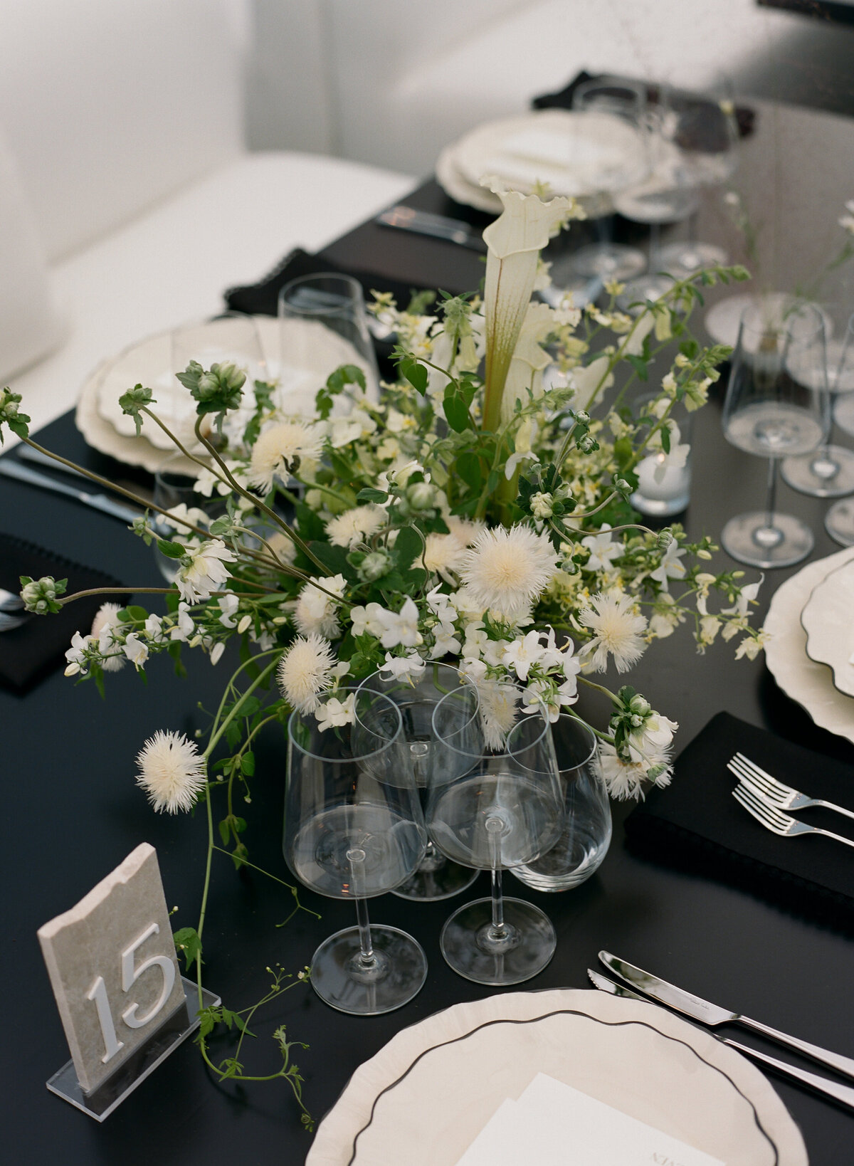 DT-2025-Kelcie&StevenPreview-50