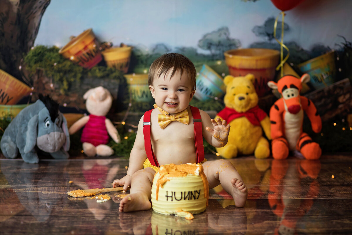 anchorage-cake-smash-photographer--116