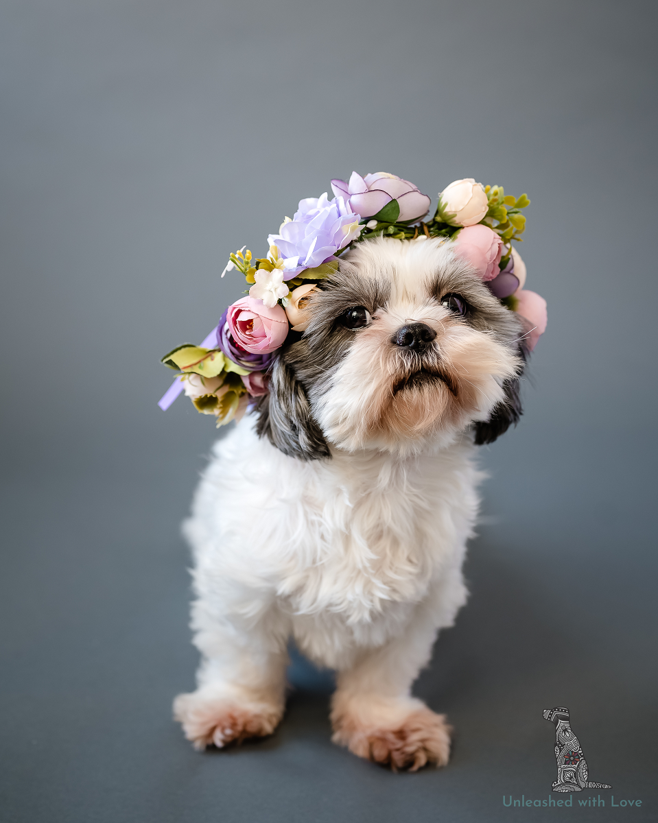 Unleashed with Love Dog in Flower Crown