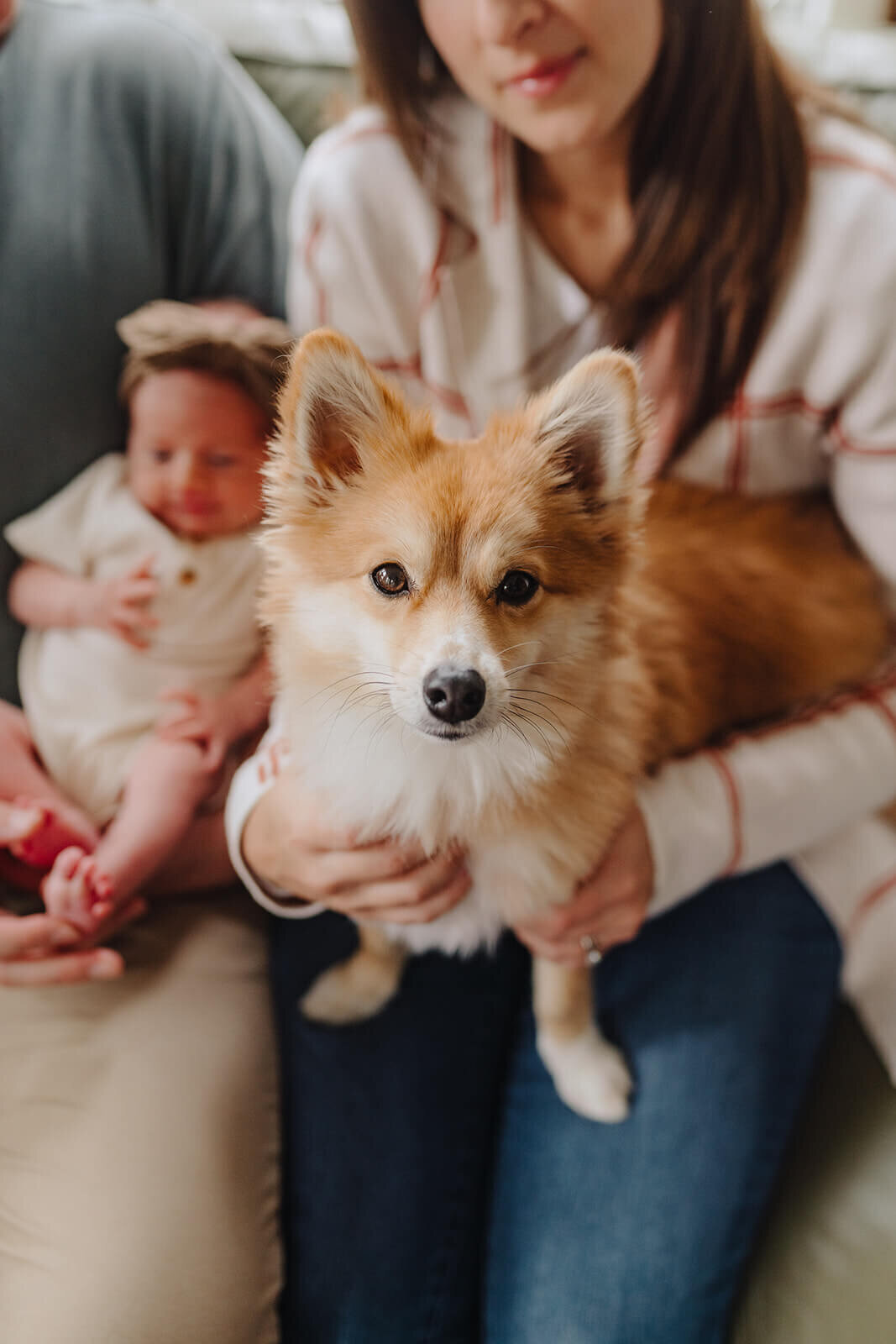 Couple holding dog and baby at newborn photo session at Finger Lakes, NY