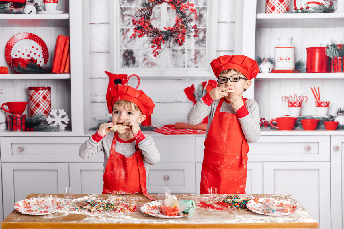new-jersey-christmas-minis-39