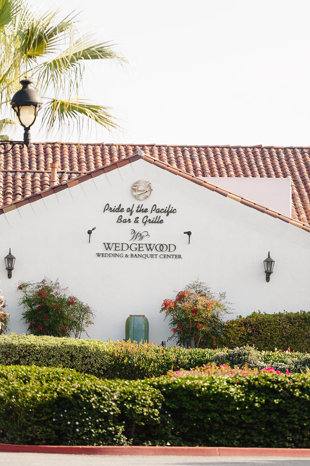 Wedgewood Weddings San Clemente 15