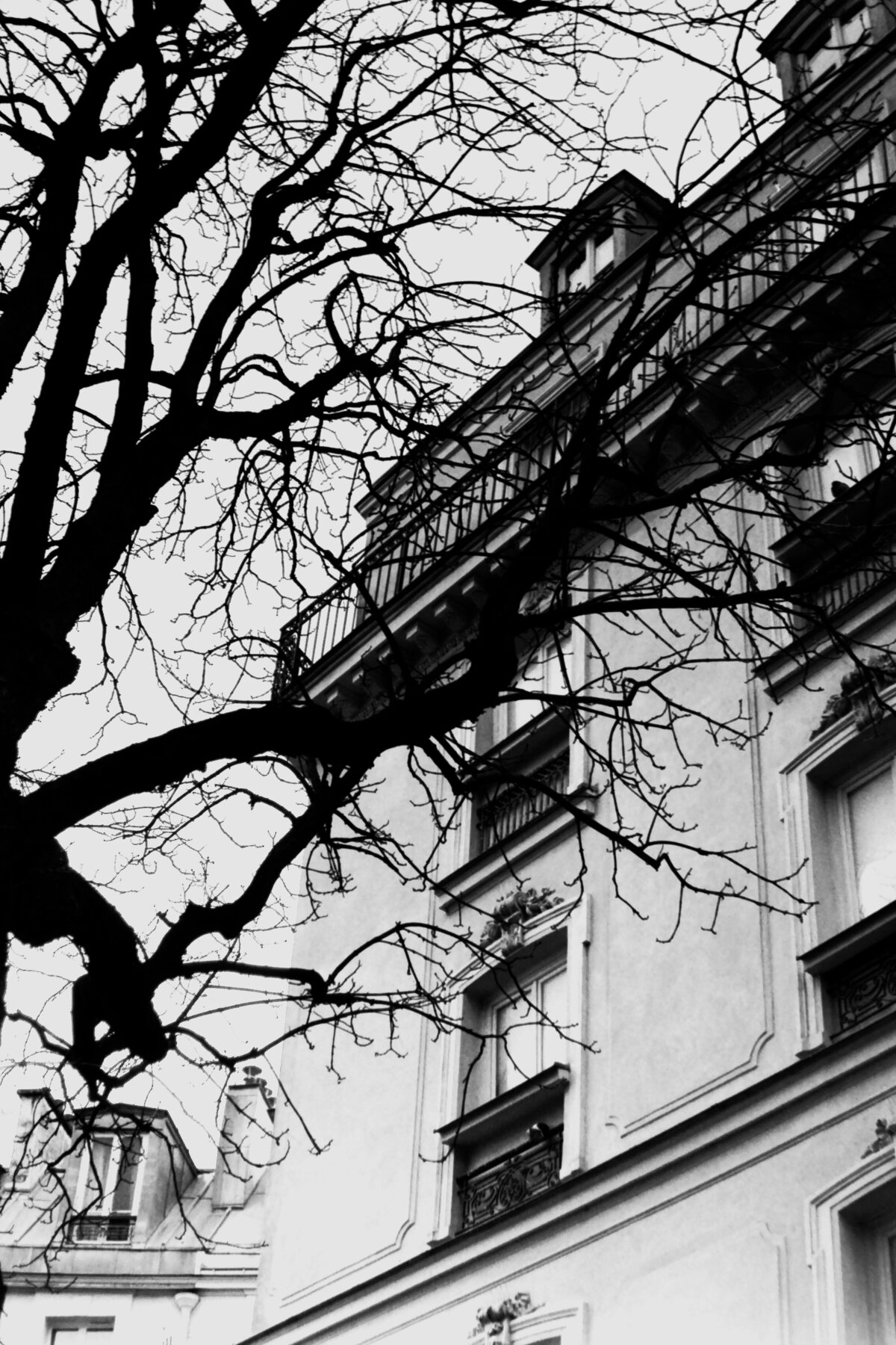 IMAG0087