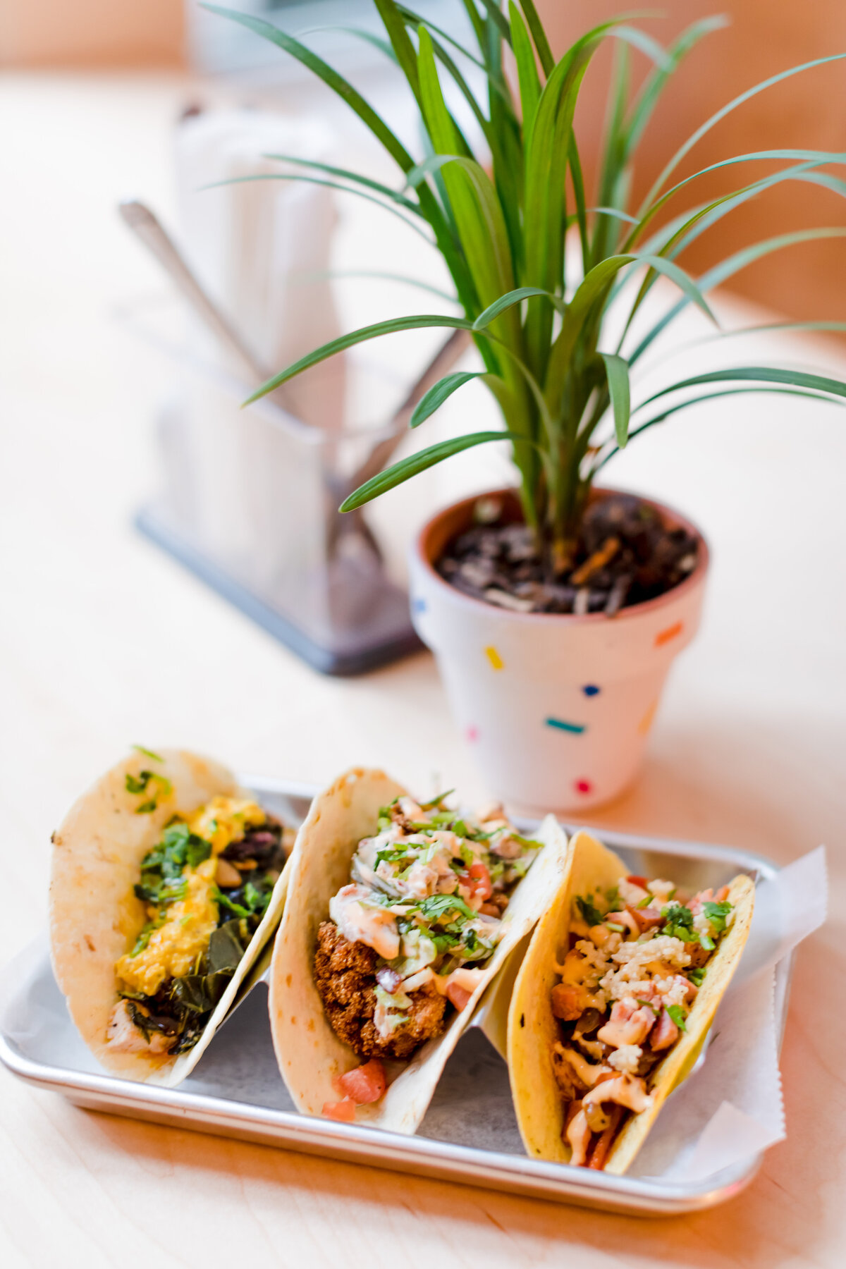 soul_taco_Richmond_VA_food_fusion_restaurant_modern-5346