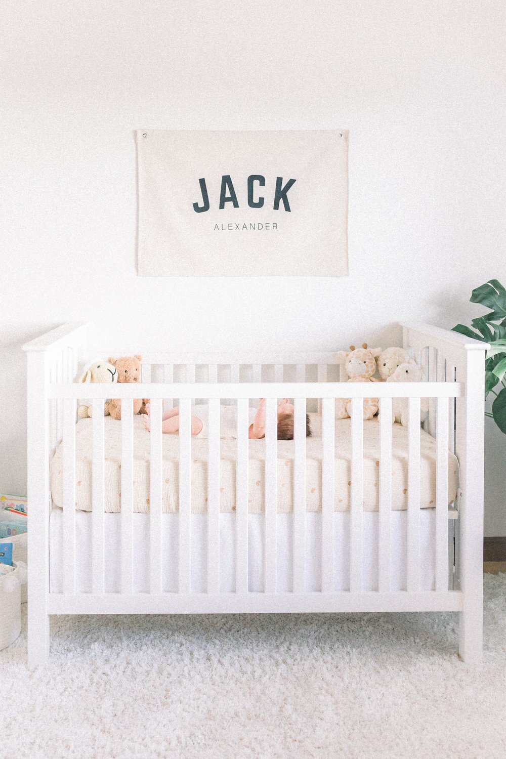 BabyJackSneakPeeks-11