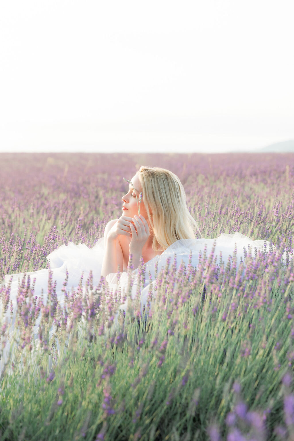 IRP-LavenderFields2024-31edit