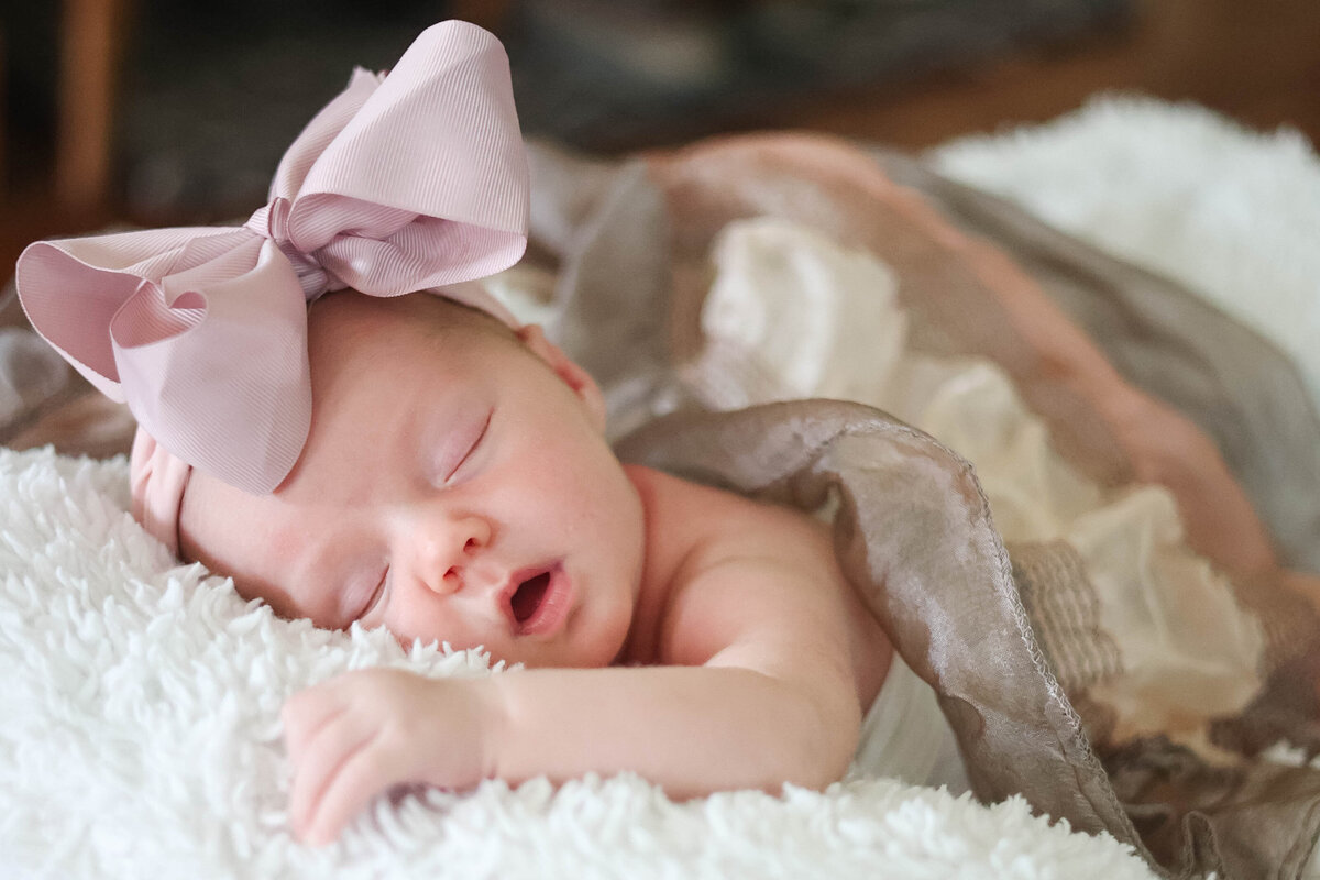 VandertieFamilySession_-18