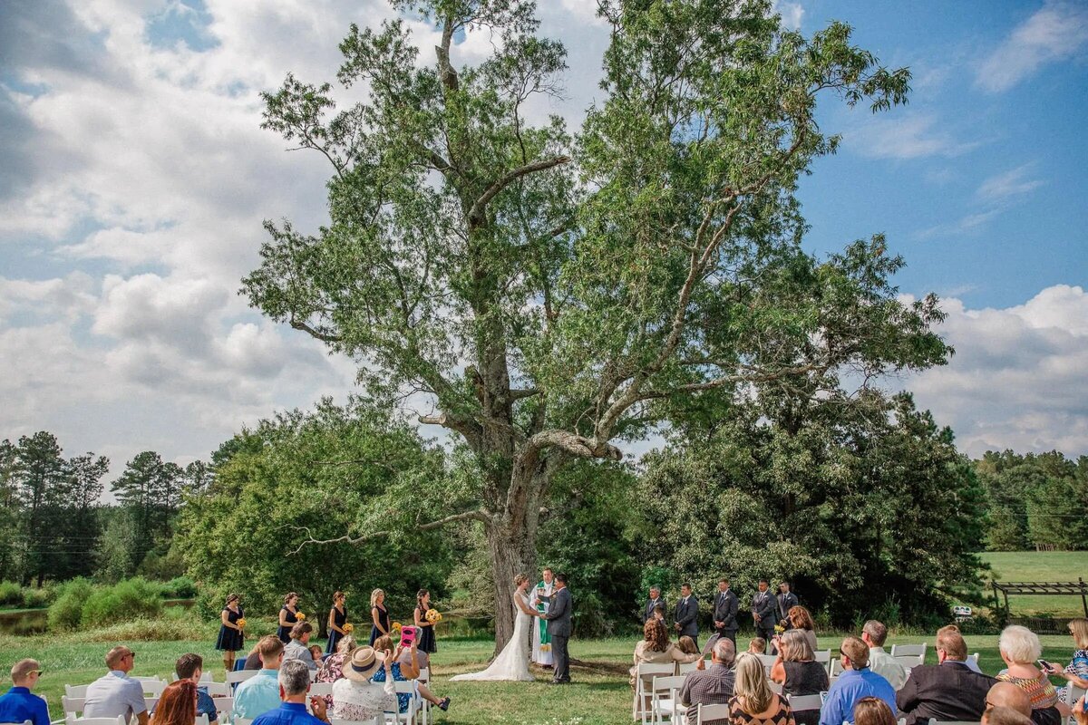 A rustic outdoor wedding ceremony under a grand tree with guests seated on either side of the aisle