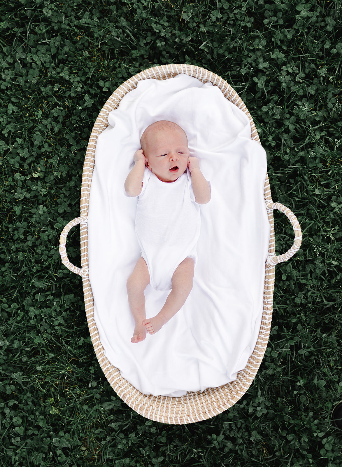 Baby Bentley_483_websize