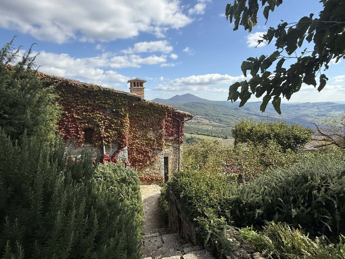 Vine-covered stone building in Europe