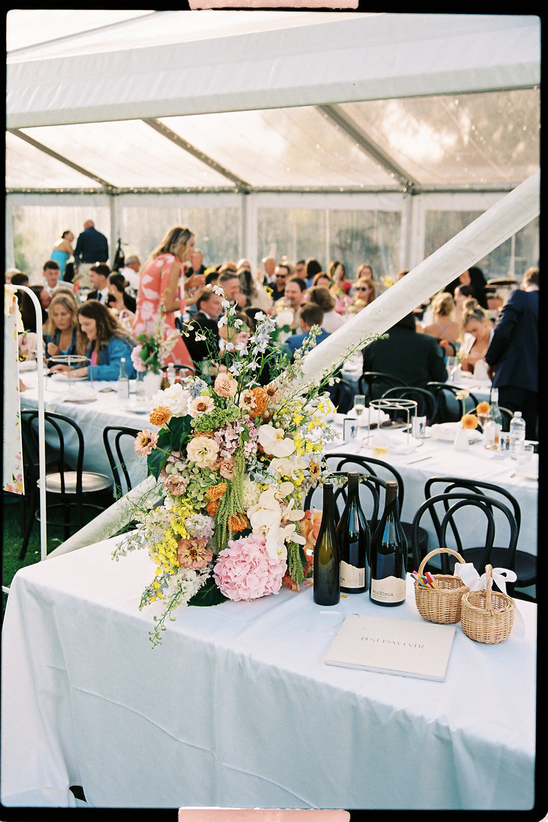 Jade & Sam-557_websize