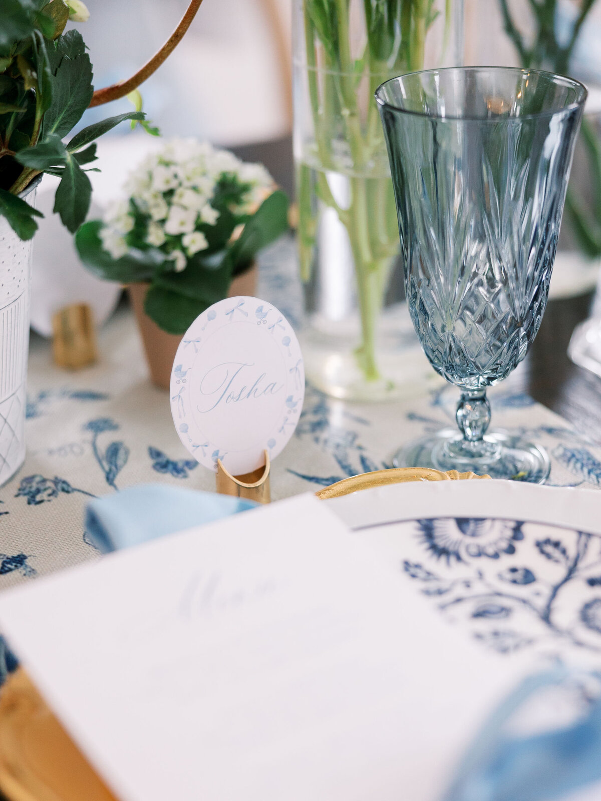 Em-and-e-events-baby-sprinkle-sapphire-and-lace-cottage-annetroxelpittsburghweddingphotography-1342