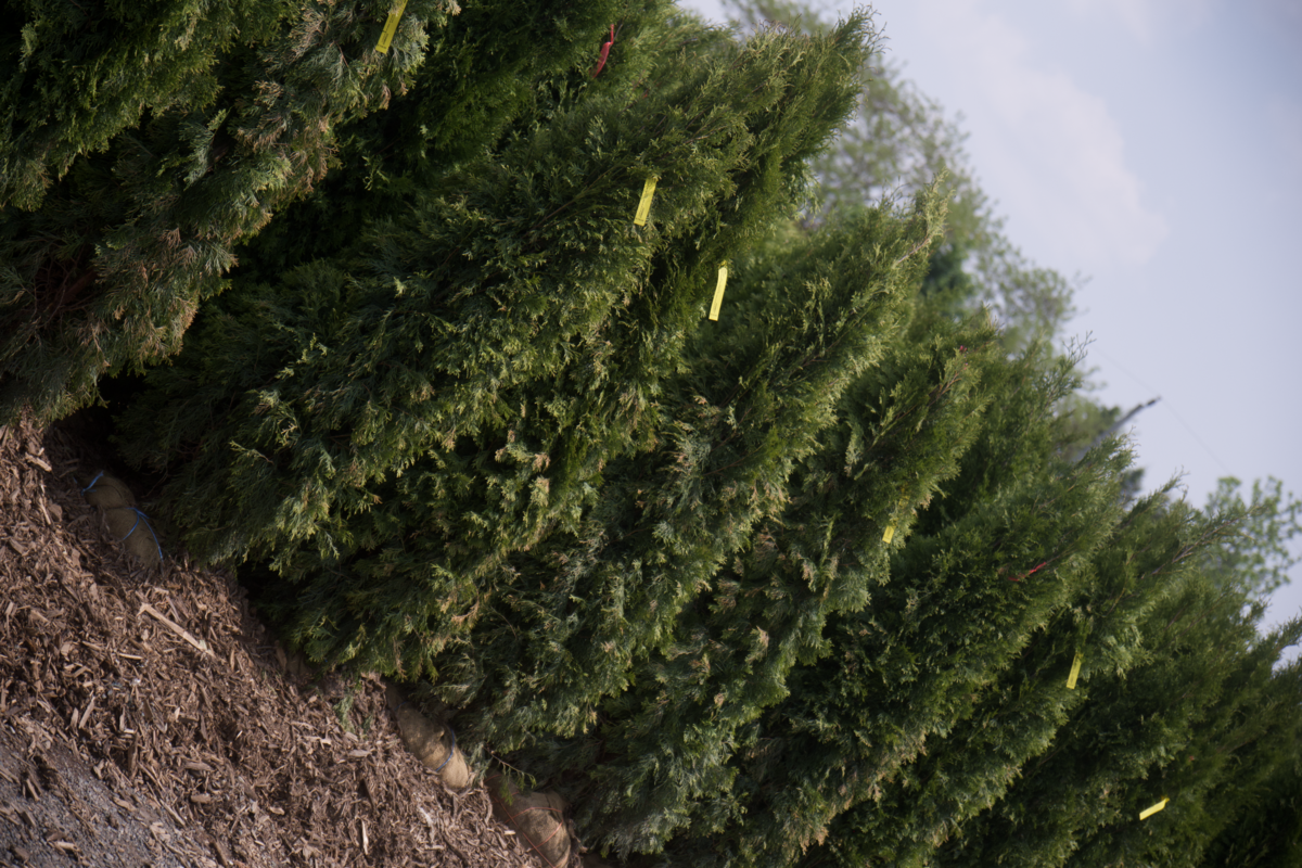 Screenshot 2025-07-21 at 10.55.21 AM