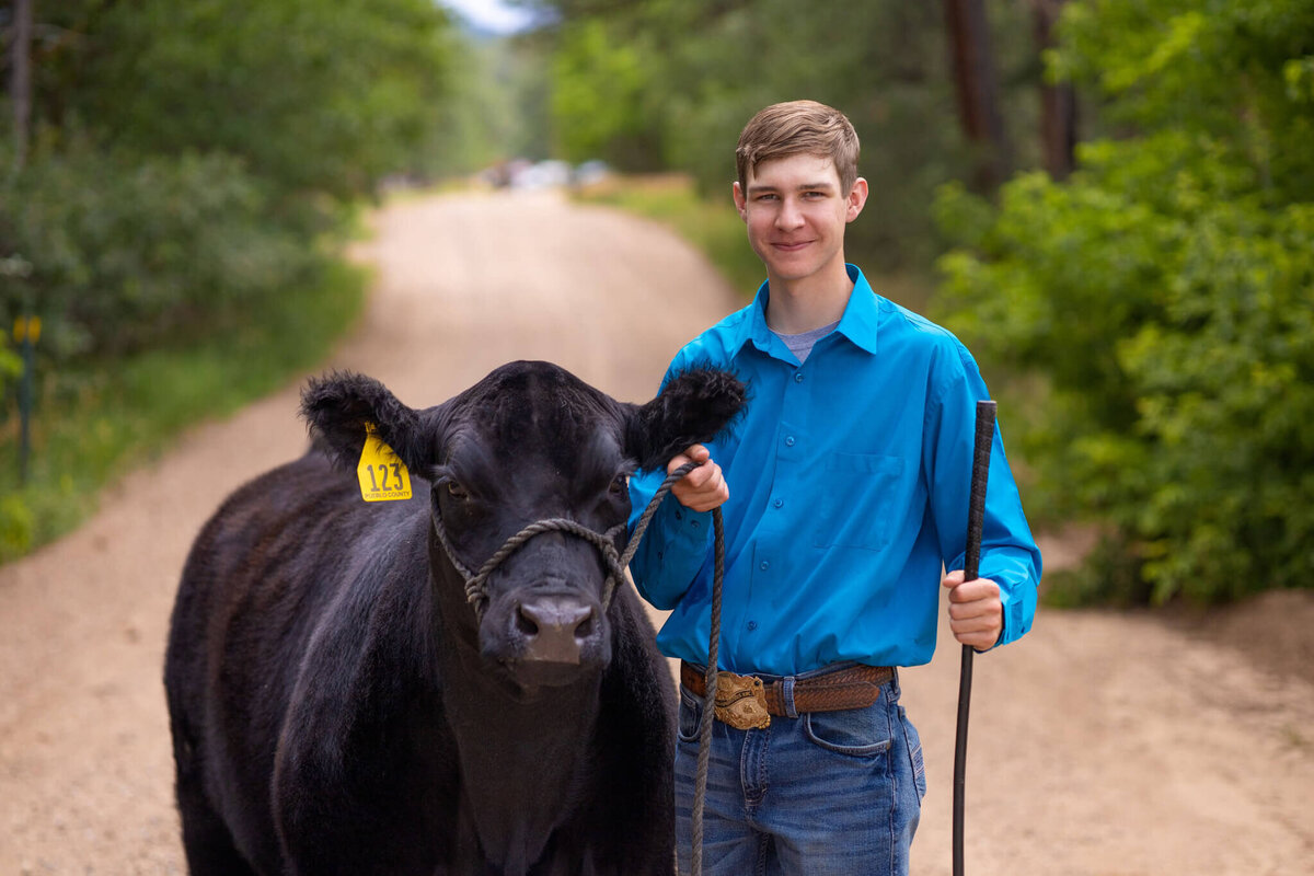 high school senior boy standing on a dirt road with his prize steer on a lead