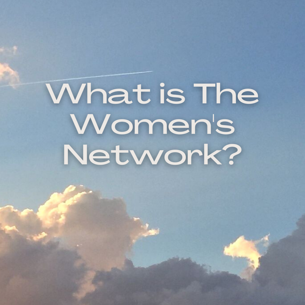 What is The Women's Network