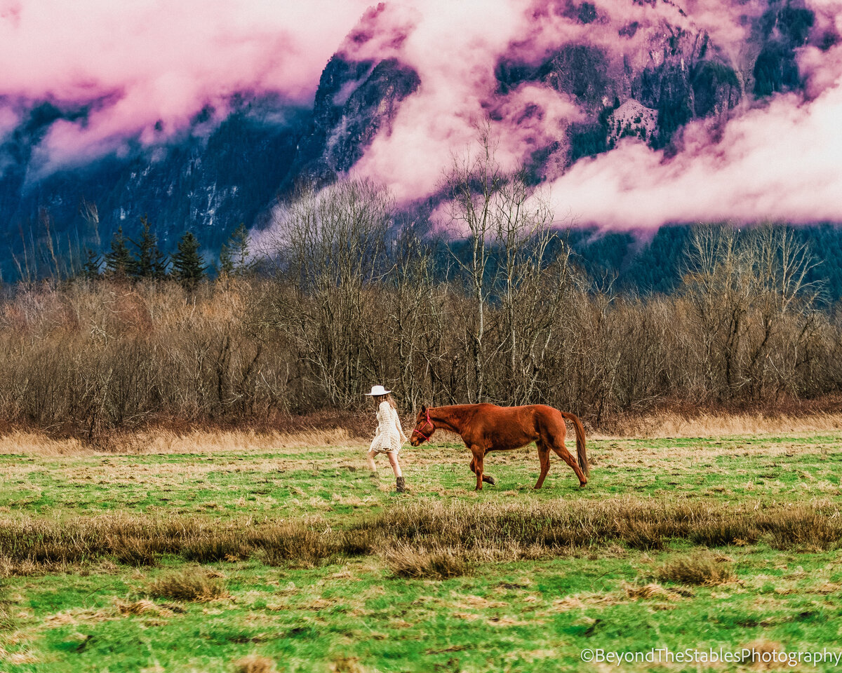 Seattlehorsepotraits