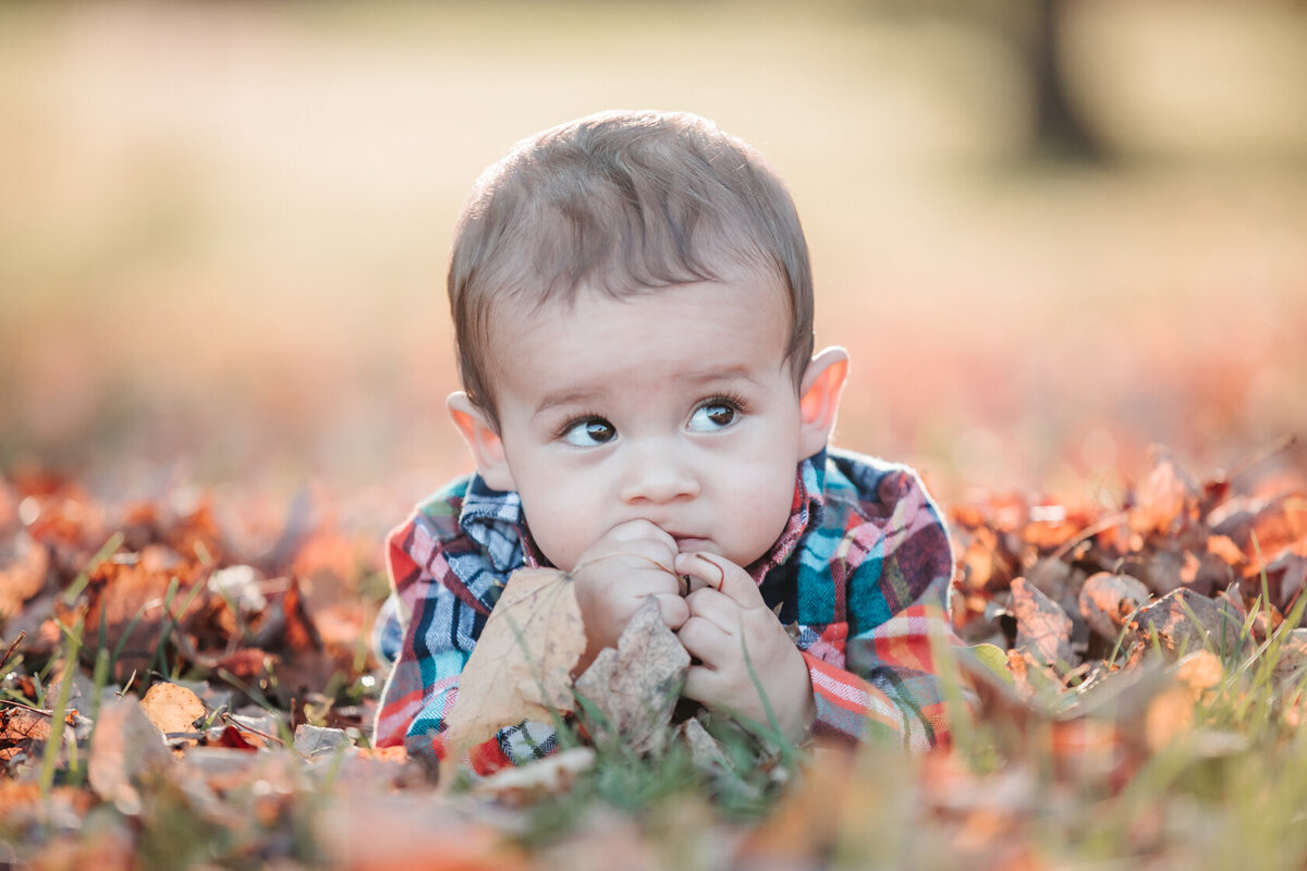 Knoxville-Newborn-Photographer-Panther, 9m-Session-Karen-Stone-Photography-10