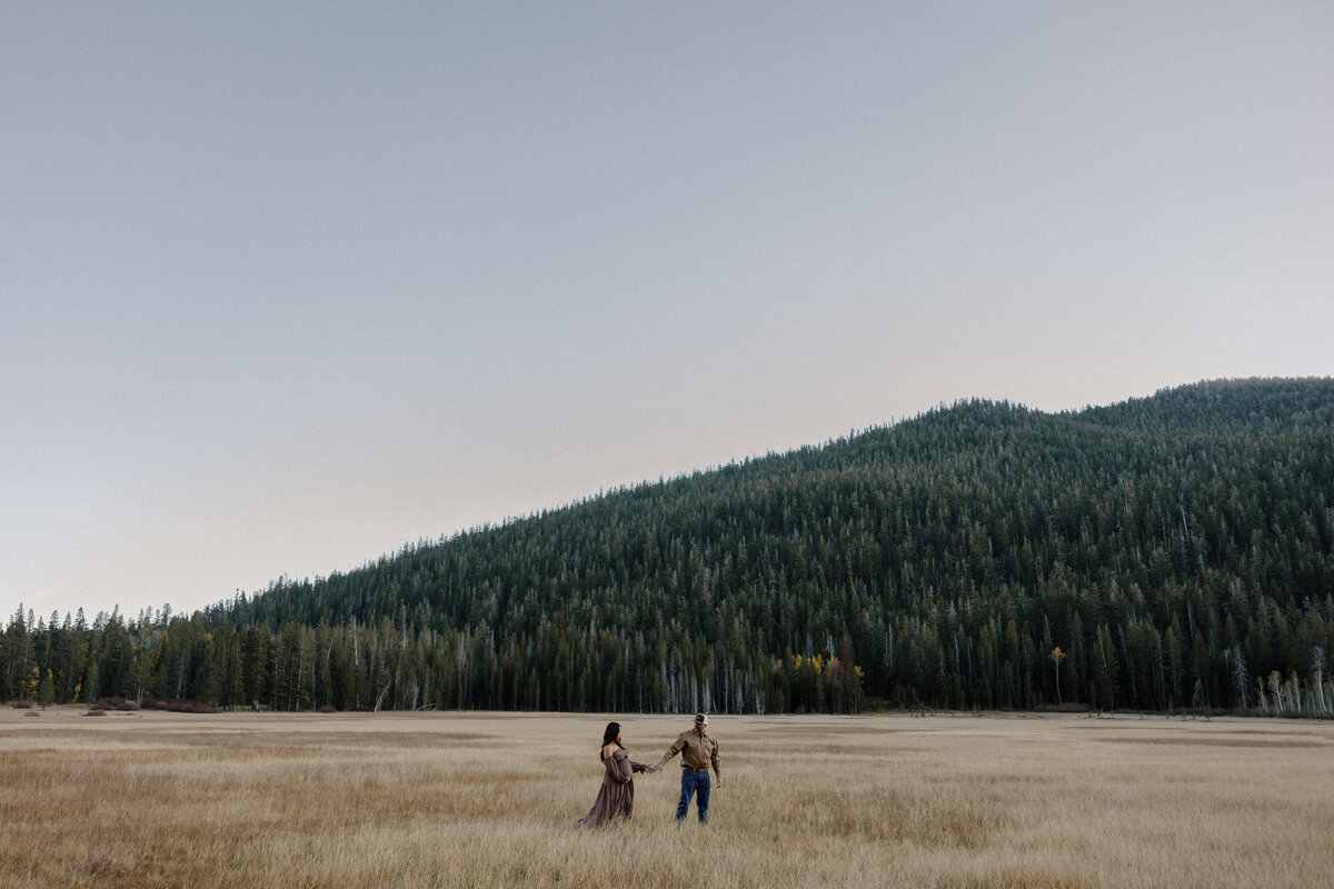 truckee maternity photo
